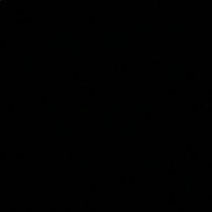 Meet your Posher, Evelyn